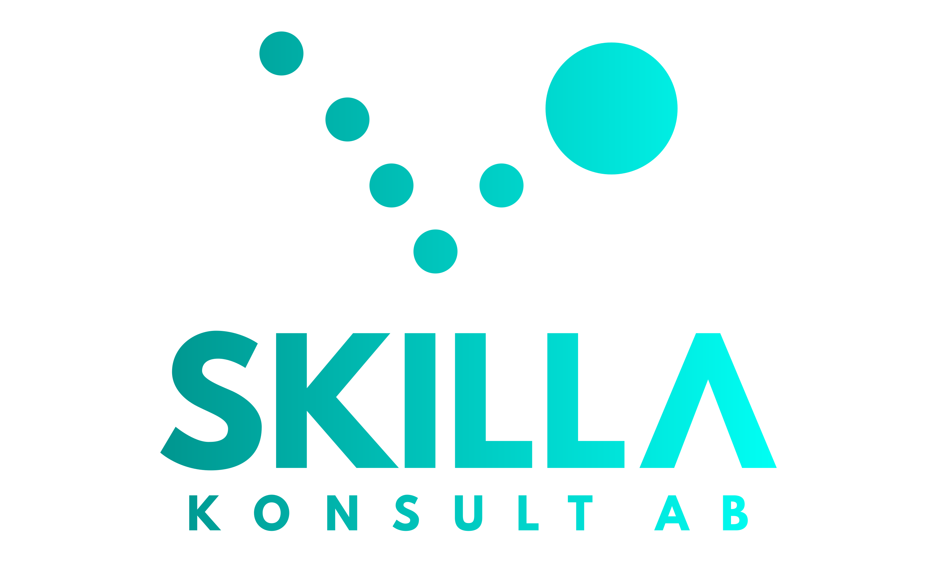 Skilla Konsult